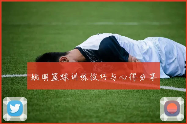 姚明篮球训练技巧与心得分享