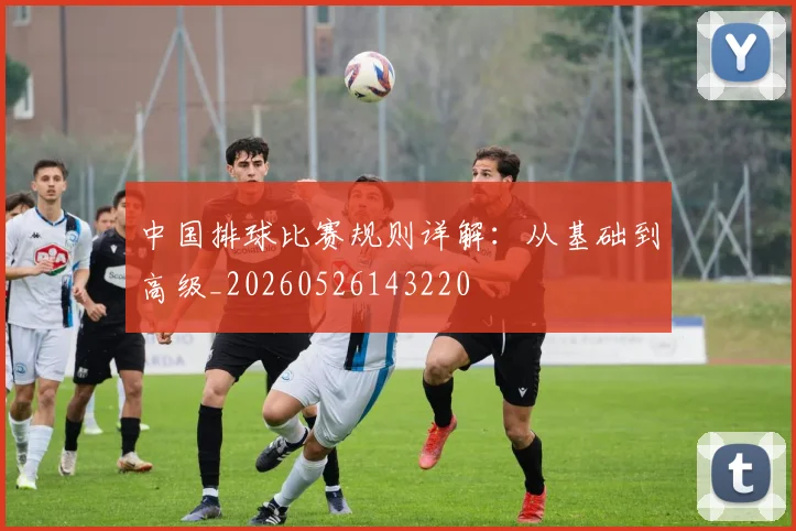 中国排球比赛规则详解:从基础到高级_20260526143220