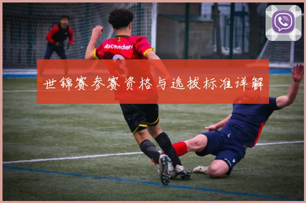 世锦赛参赛资格与选拔标准详解
